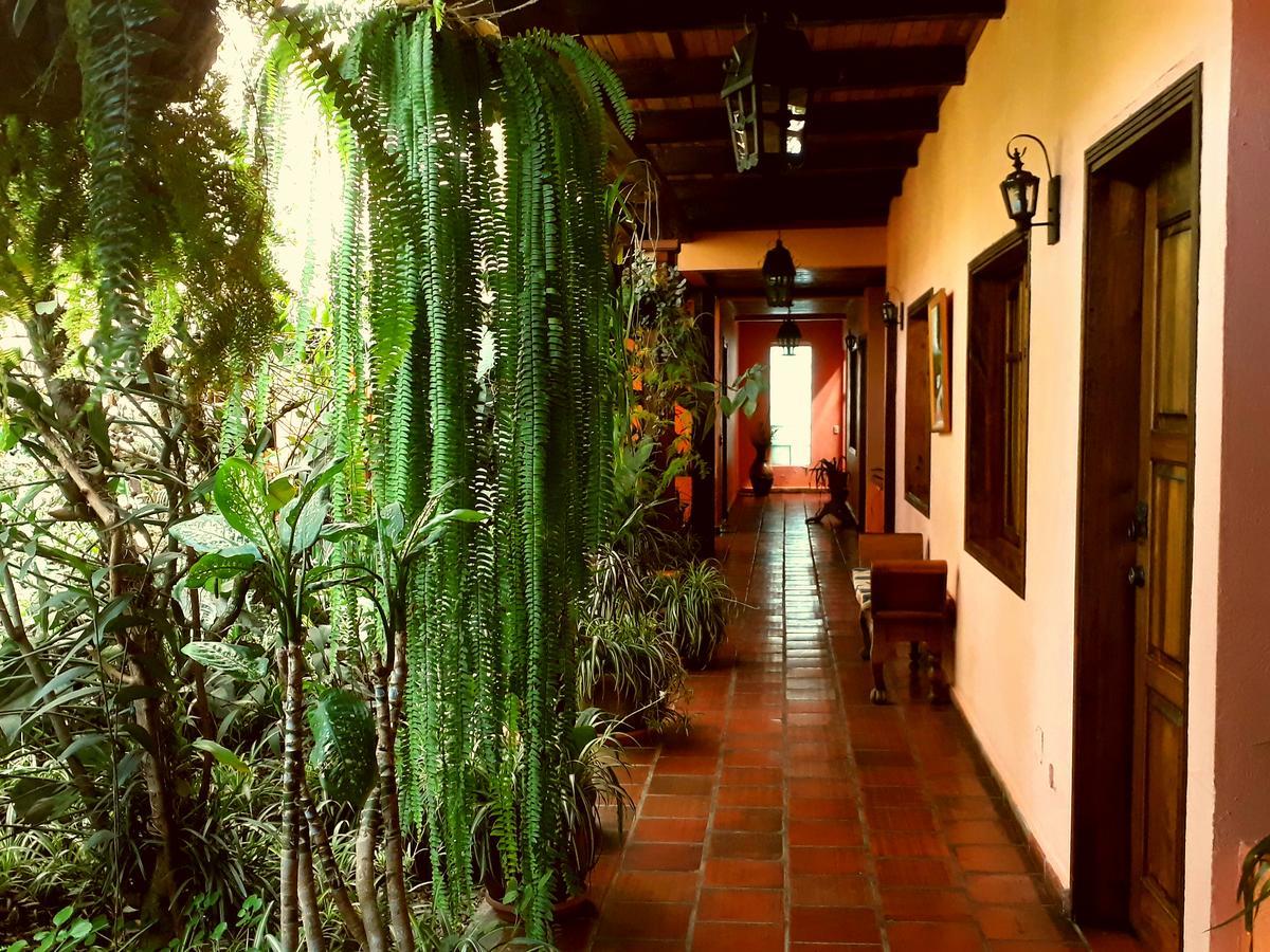 Posada Papa Chepe La Esperanza Esterno foto