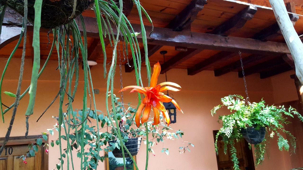 Posada Papa Chepe La Esperanza Esterno foto
